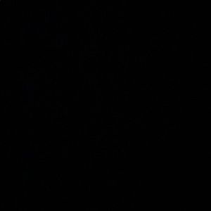 Meet your Posher, Annalise